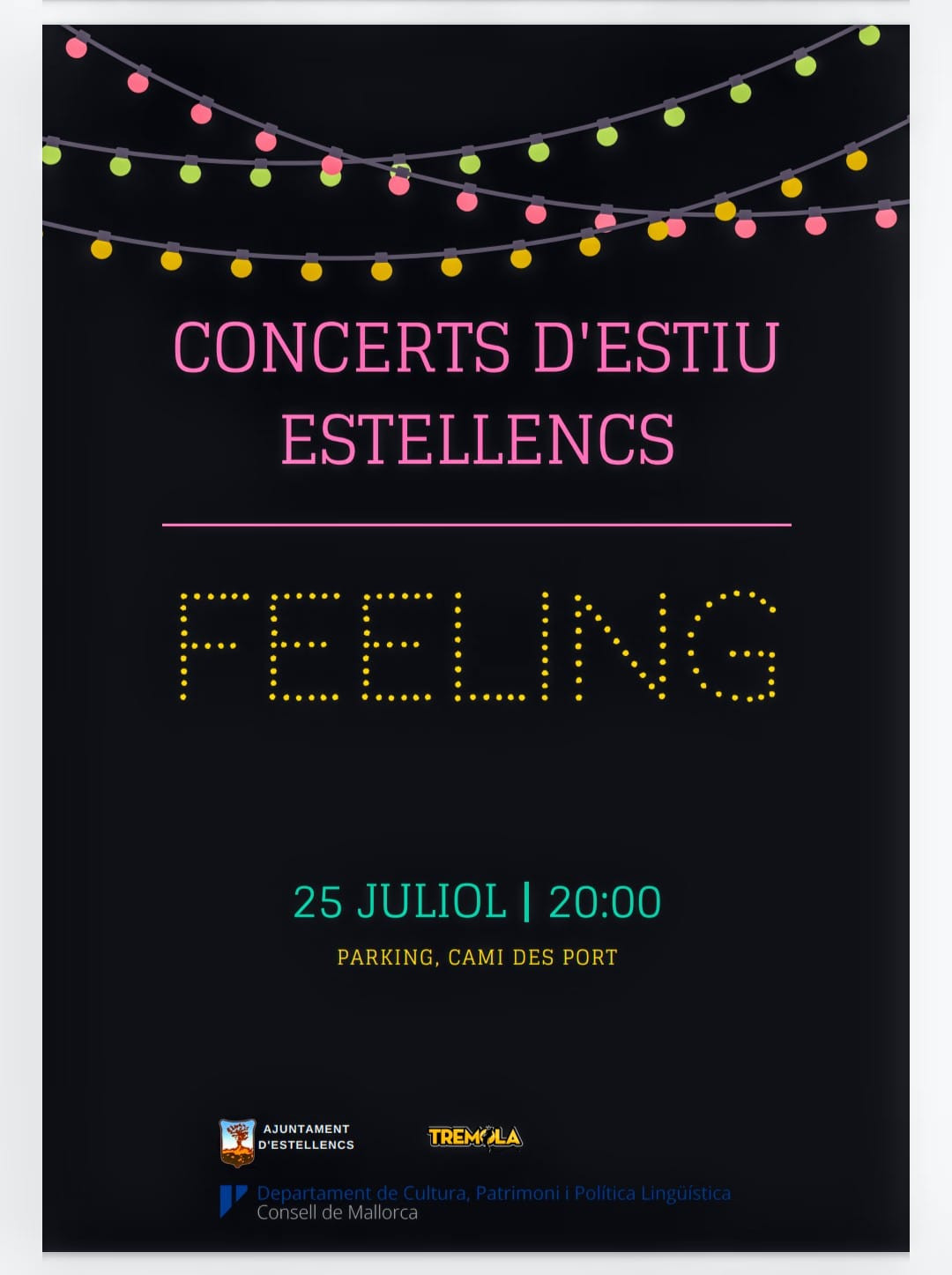 Concerts d'Estiu
