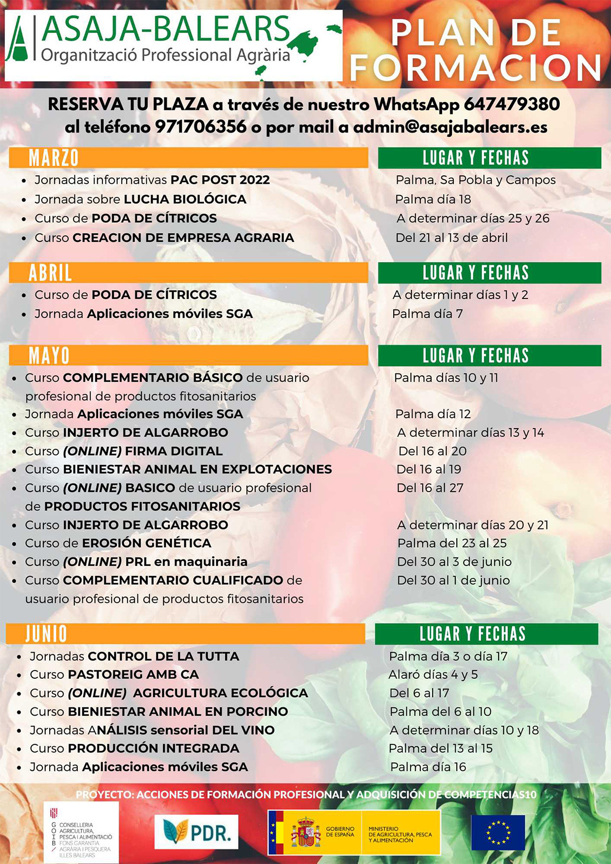 cursos