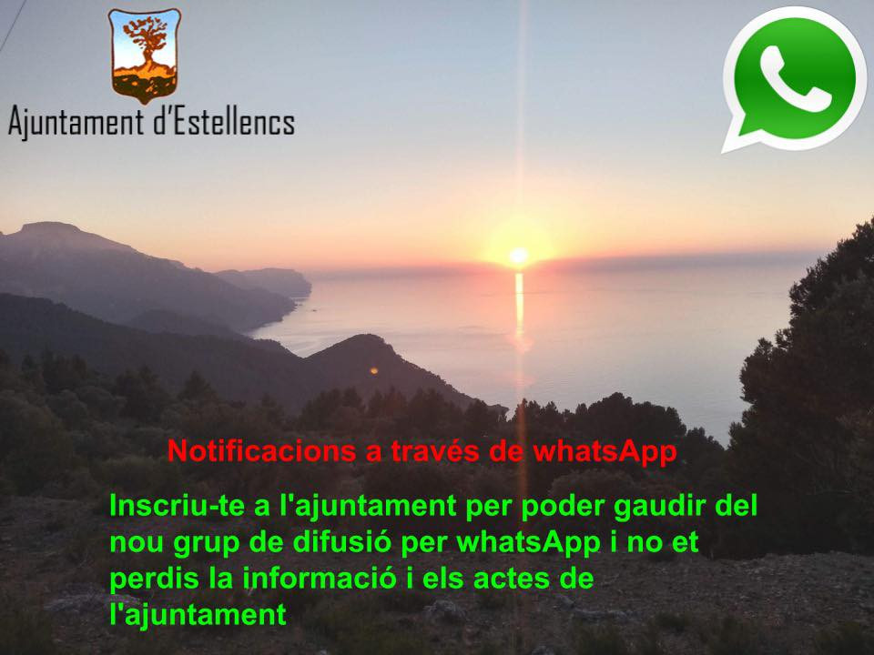 notificacions