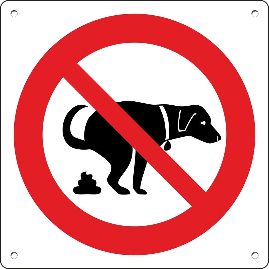 excrements 