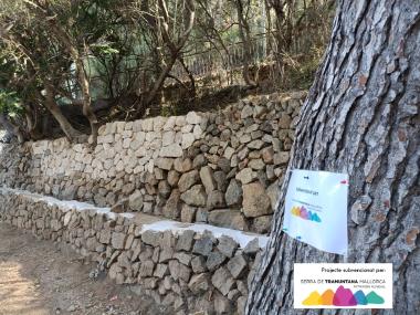 Reparació de les síquies de sa Font d'es Broll i de sa Font Nova